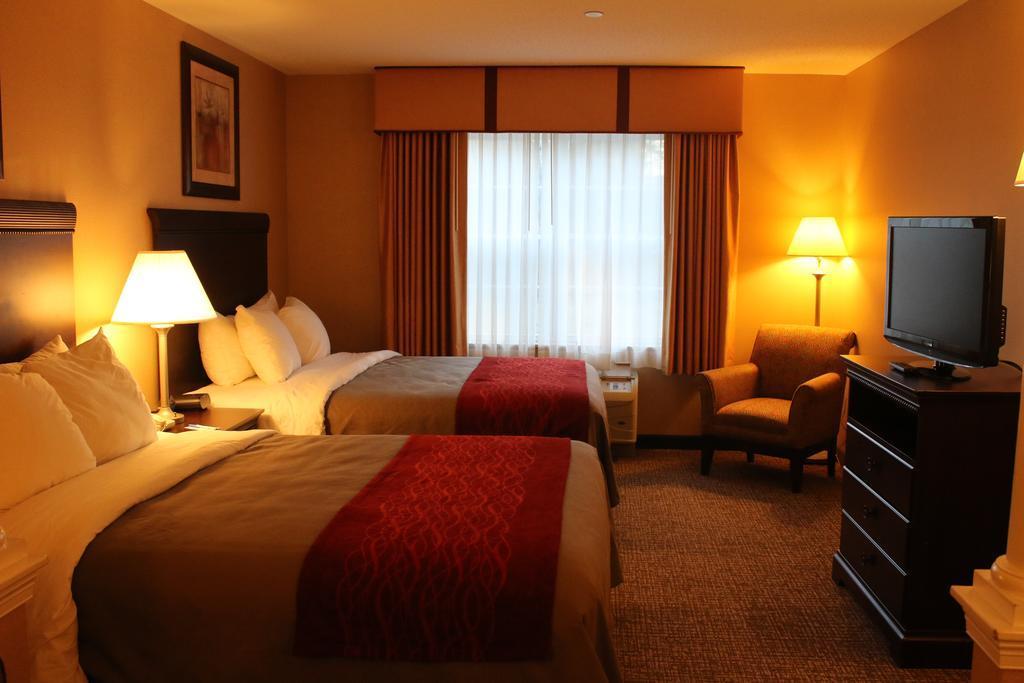 Comfort Inn & Suites Scarborough-Portland Extérieur photo